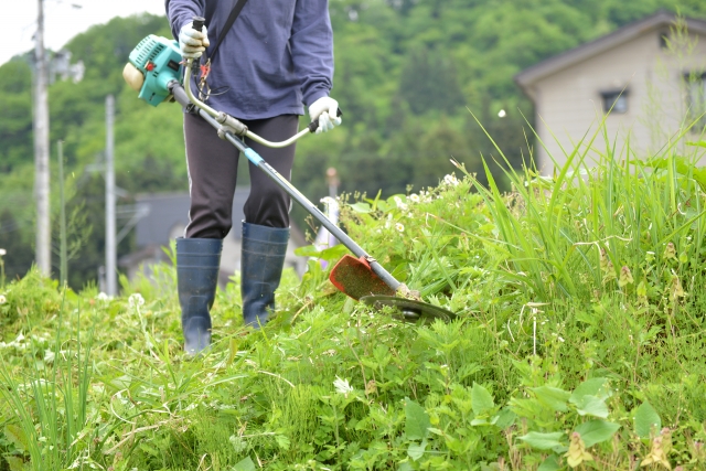 浜田市で草刈りに最適な年3回の時期～楽に草刈りを終えるコツまで徹底解説