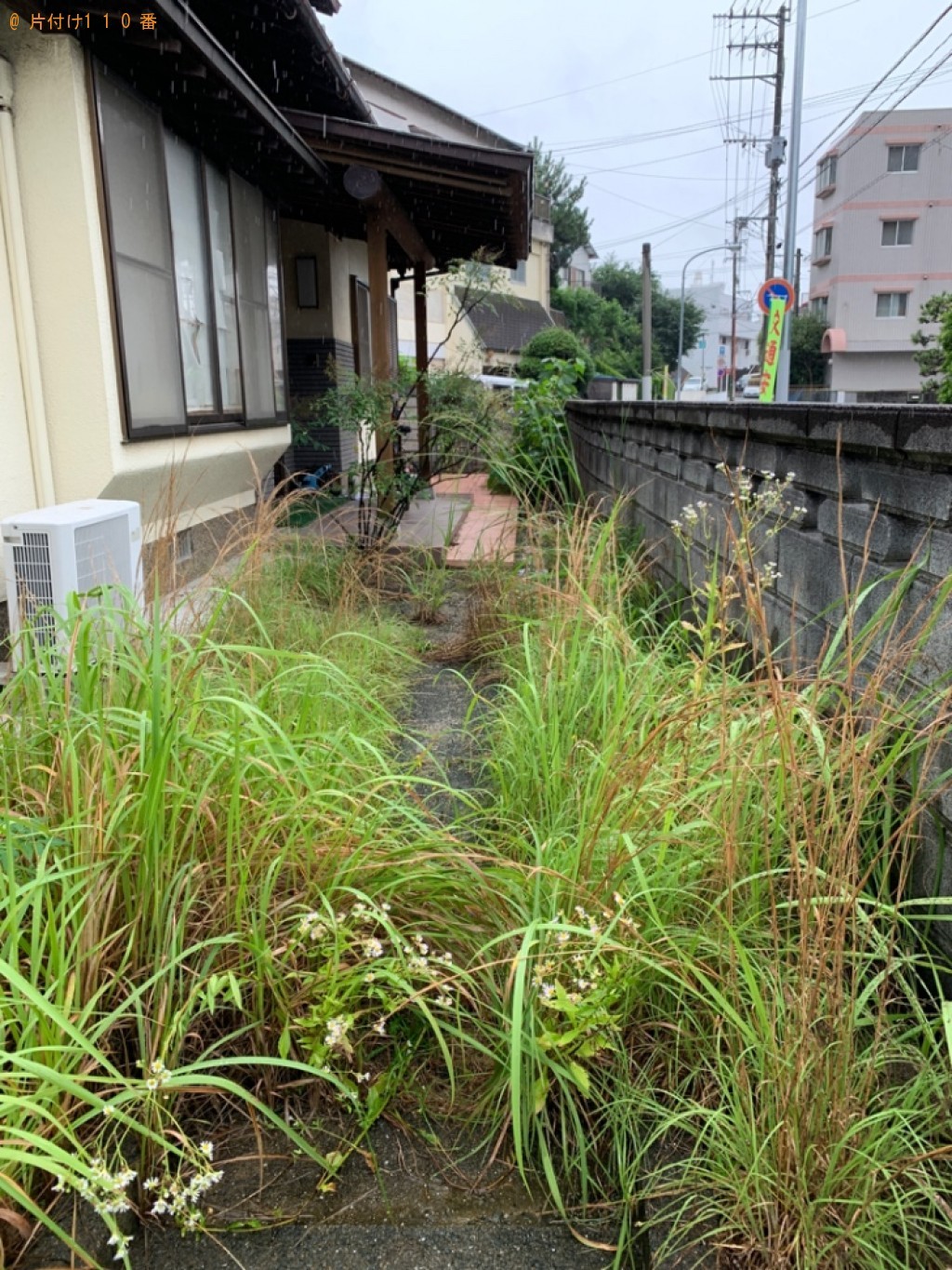 木の伐採と草刈り作業ご依頼　お客様の声