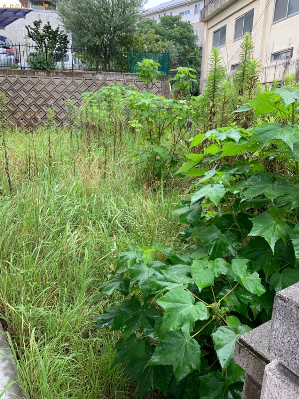 木の伐採と草刈り作業ご依頼　お客様の声