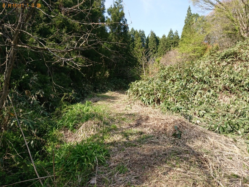 【雲南市掛合町】草刈り作業ご依頼 お客様の声