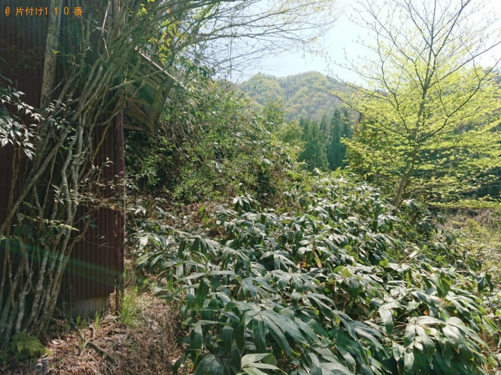 【雲南市掛合町】草刈り作業ご依頼 お客様の声