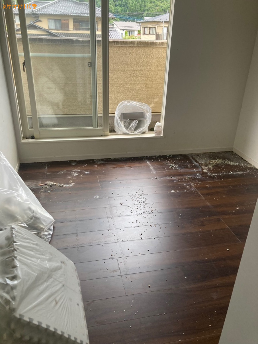 カーペット、猫のトイレ等の回収とベランダ三か所のクリーニング